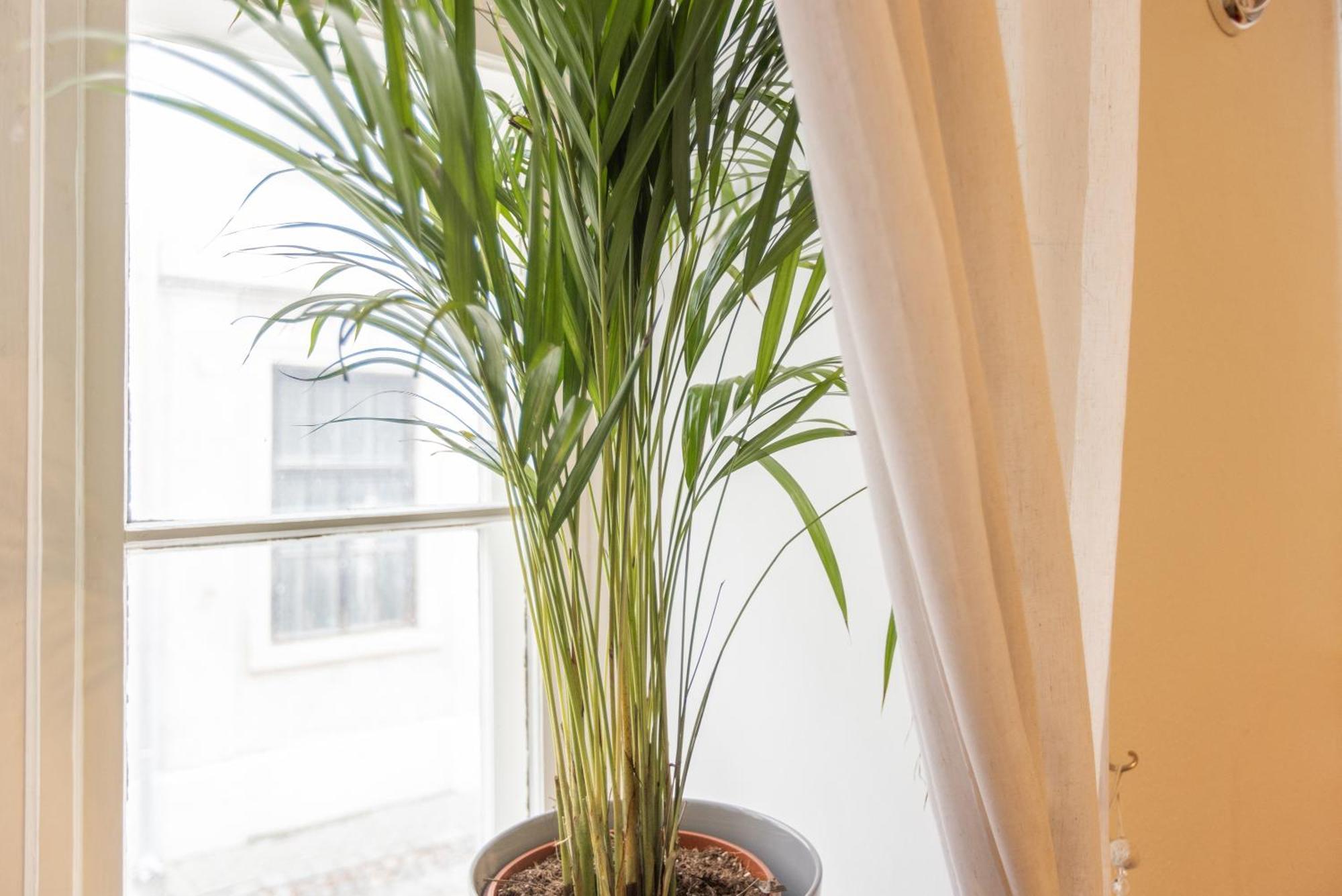 ריגה Large Vacation Apartments In The Old Town מראה חיצוני תמונה